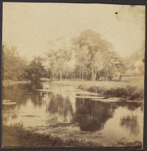 Landscape with Pond by Unknown artist