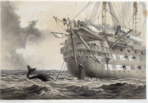 Laying the Atlantic telegraph cable, a whale around the boat by Unknown artist