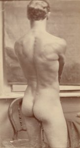 Male Nude Study