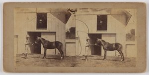 Man Holding Horse by Bridle by Unknown artist