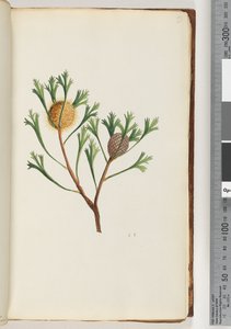 Page 19. Givee En by Unknown artist
