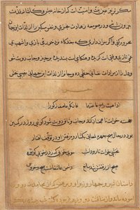 Page from Tales of a Parrot (Tuti-nama): text page by Unknown artist