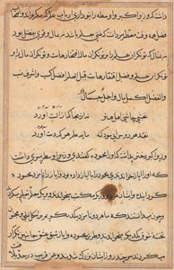 Page from Tales of a Parrot (Tuti-nama): text page by Unknown artist
