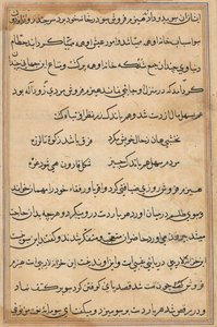 Page from Tales of a Parrot (Tuti-nama): text page by Unknown artist