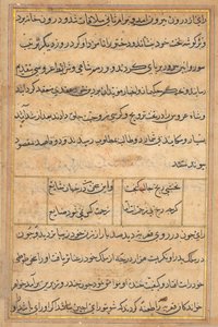 Page from Tales of a Parrot (Tuti-nama): text page