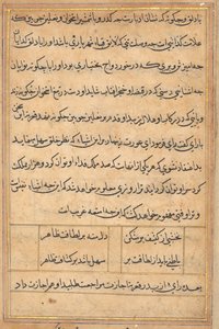 Page from Tales of a Parrot (Tuti-nama): text page by Unknown artist