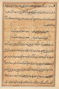 Page from Tales of a Parrot (Tuti-nama): text page by Unknown artist