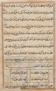Page from Tales of a Parrot (Tuti-nama): text page by Unknown artist