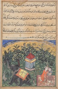Page from Tales of a Parrot (Tuti-nama): text page by Unknown artist