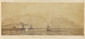 Panorama of the Port, Funchal, Madeira
