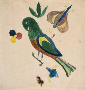 Parakeet