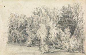Part of a Building Surrounded by a Forest