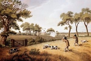 Partridge Hunting Scene