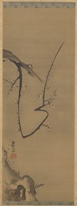 Plum Tree by Unknown artist