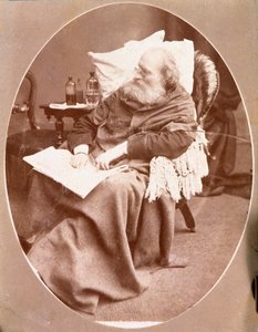 Portrait of Giuseppe Garibaldi in Caprera in 1882