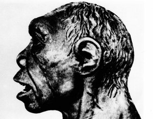Prehistory: Reenactment of the Broken Hill Man (Profile Face), According to Schultz by Unknown artist