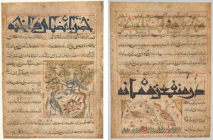 Qualities of Ringdoves (recto); On the Benefits of Quails (verso), from a Persian Manafi