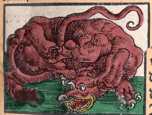Representation of a Dragon (Engraving from 