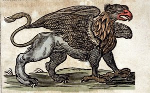 Representation of a griffon, fantastic creature half eagle half lion. Engraving from a work by Athanasius Kircher (1601 - 1680), Jesuit, orientalist and scholar. by Unknown artist