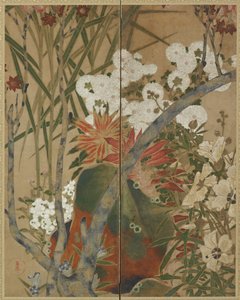 Rock, Saplings and Autumn Flowers