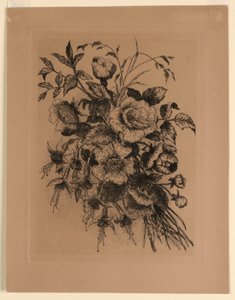 Roses and Fuchsias
