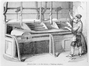 Royal Tobacco Factory: Wholesale sieving of tobacco. 19th century engraving.