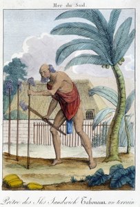 Sandwich Islands priest beating a field