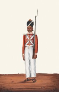 Sepoy, Madras Army