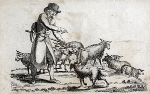 Shepherd with his herd of sheep. Engraving late 18th century. Private collection. by Unknown artist