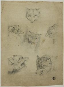 Six Sketches of Wolf Heads by Unknown artist