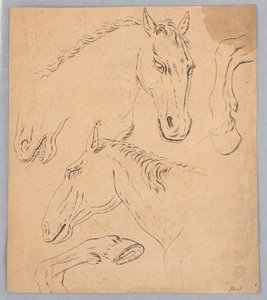Sketches of Horse Heads and Hooves by Unknown artist
