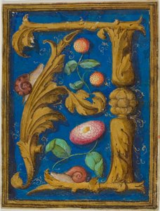 Snails, Strawberries and a Flower in a Decorated Initial 