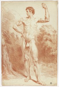 Standing Academic Male Nude