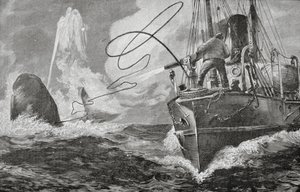 Steamers as Whalers by Unknown artist