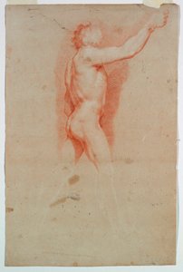 Study: A Nude by Unknown artist