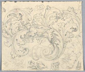 Study for Curling Acanthus Ornament