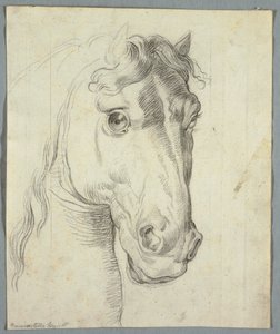 Study of a Horse by Unknown artist