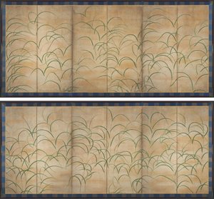 Susuki Grass