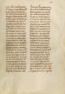 Text Page