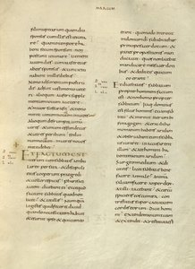 Text Page