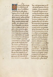 Text Page