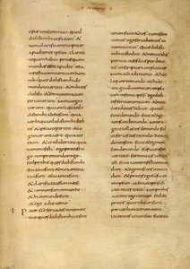 Text Page