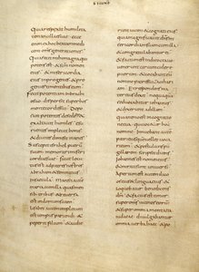 Text Page