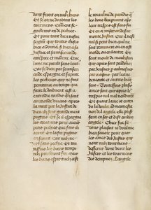 Text Page