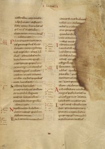 Text Page