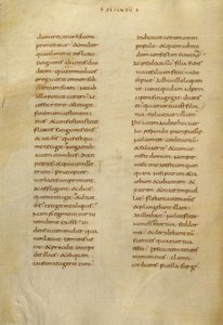 Text Page