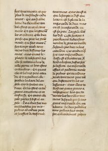 Text Page