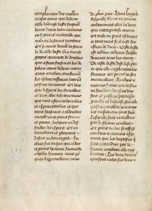 Text Page