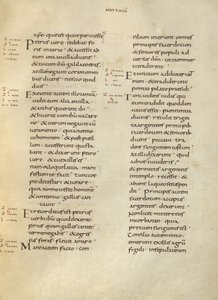 Text Page