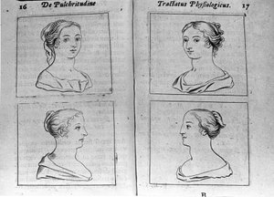 The Different Female Profiles Page Taken from Tractatus Physiologicus de Pulchritudine by Ernesto Venio Defending the Beauty of Creation Against an Anonymous Opponent. 1612 by Unknown artist